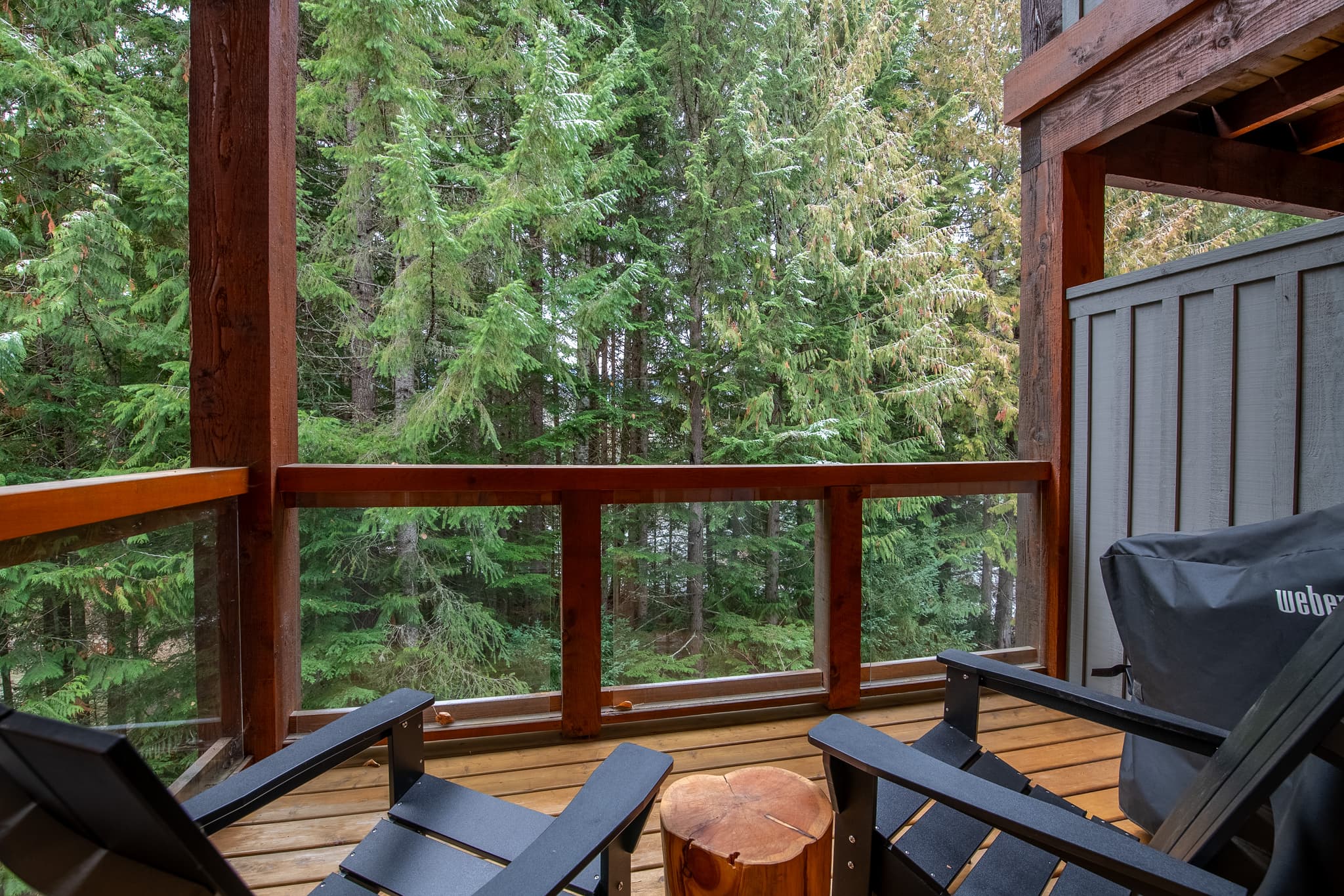 Luxe-Cozy Whistler Village interior 5