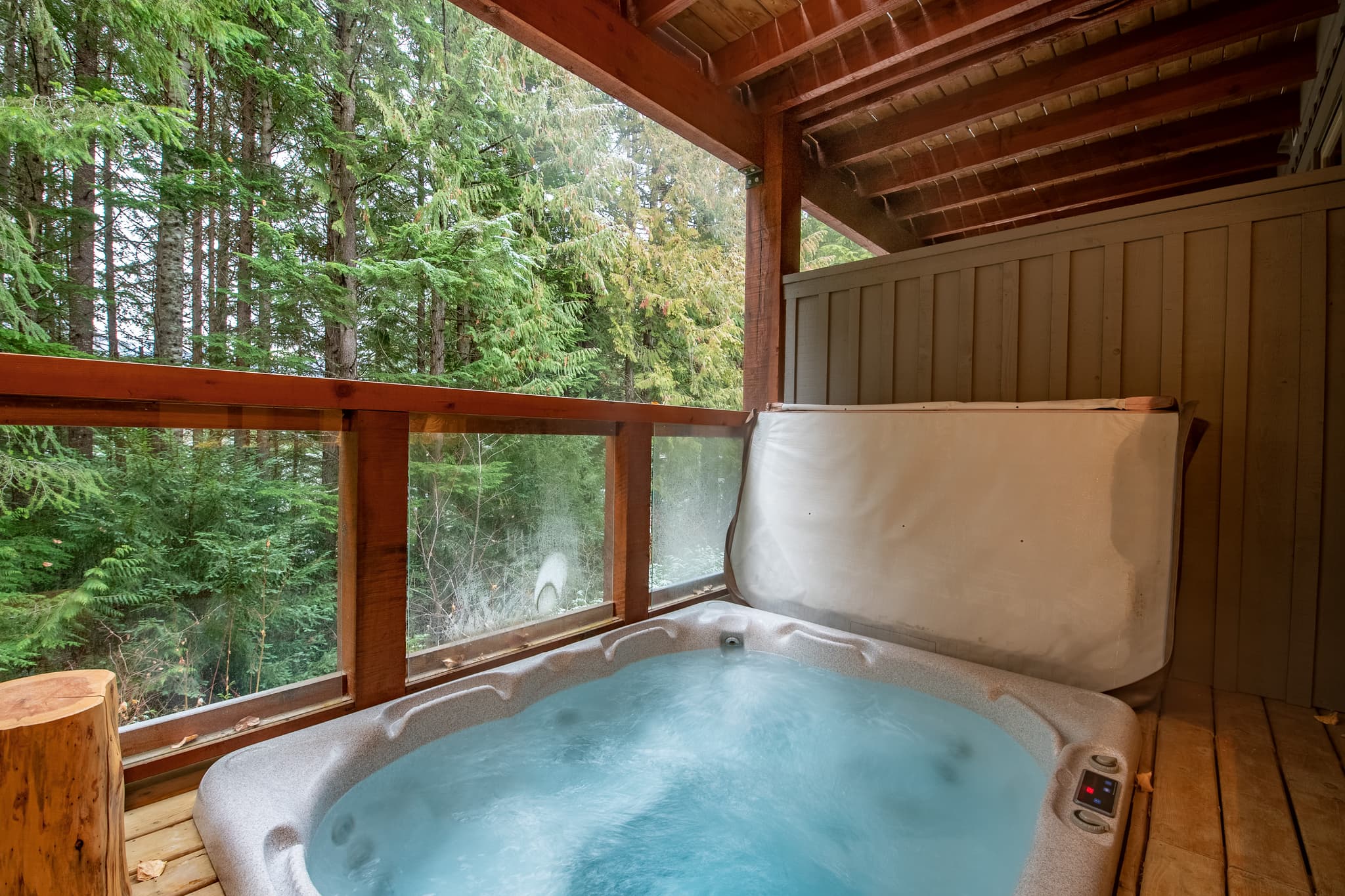Luxe-Cozy Whistler Village interior 19