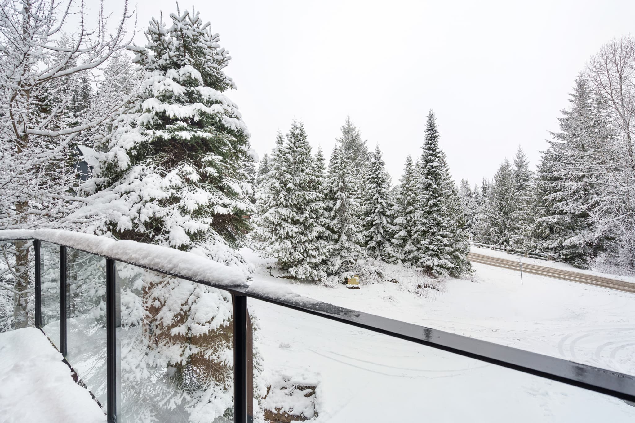 The Nest interior 21