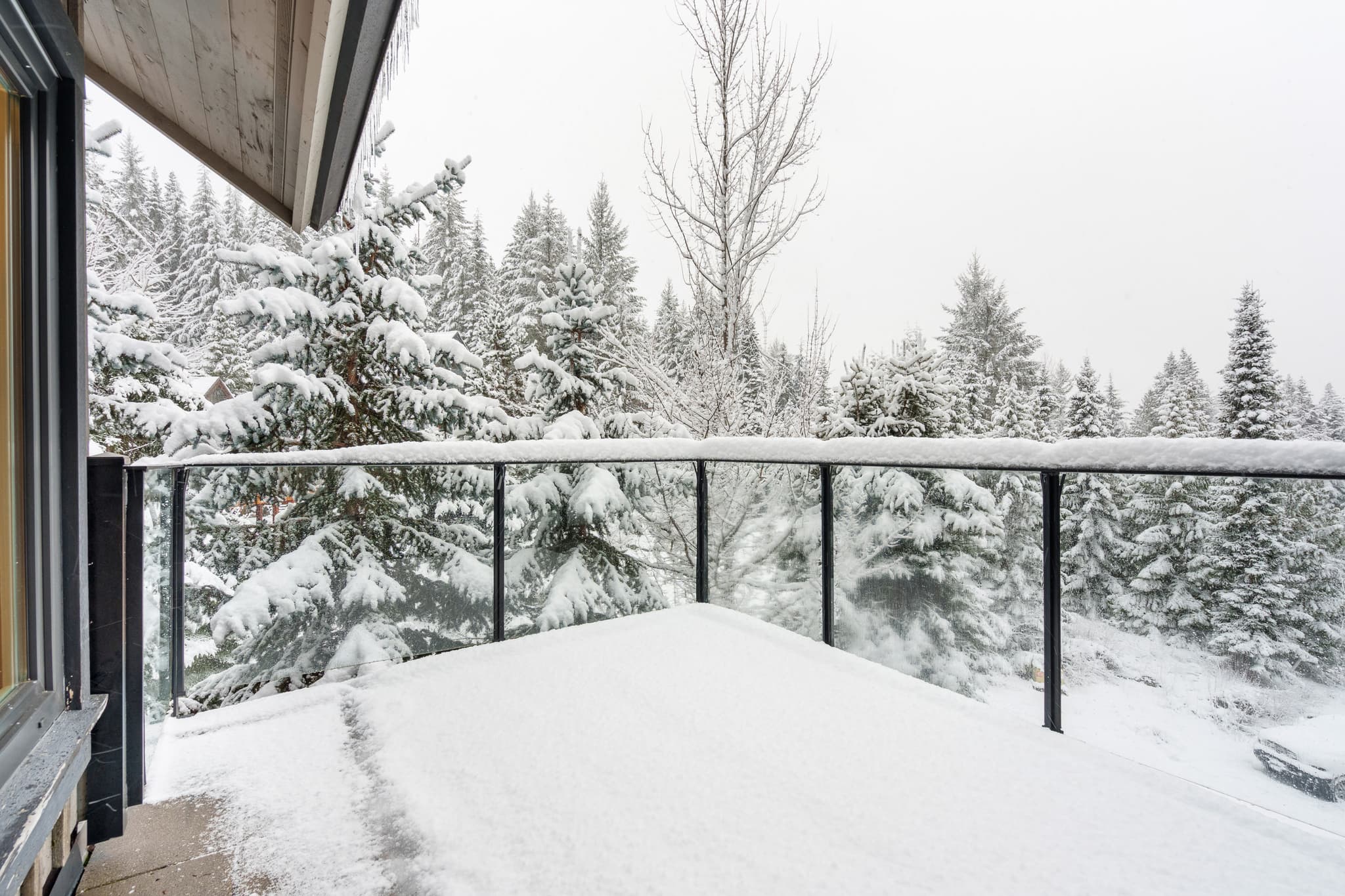 The Nest interior 30