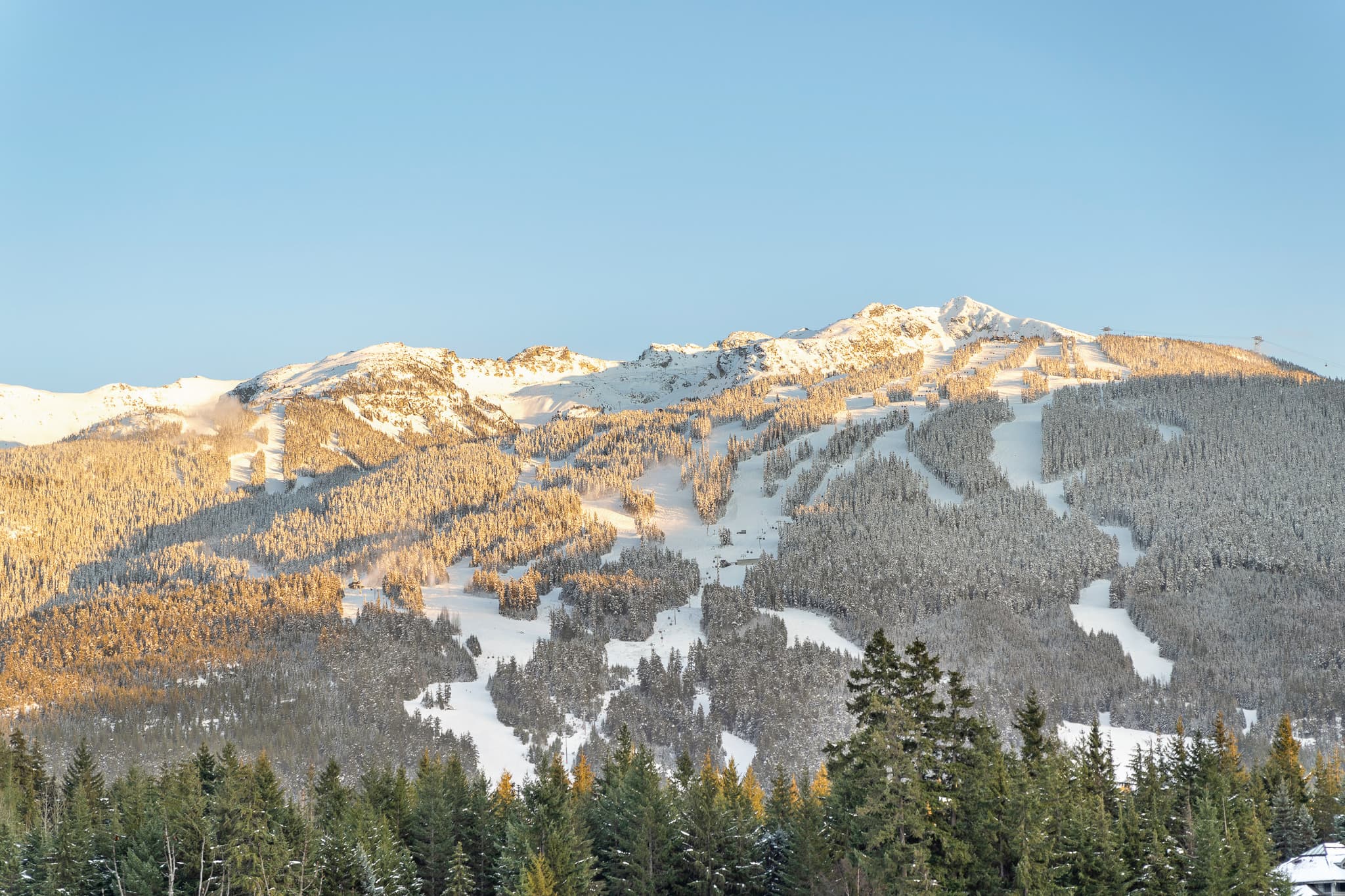 Whistler Mountain View