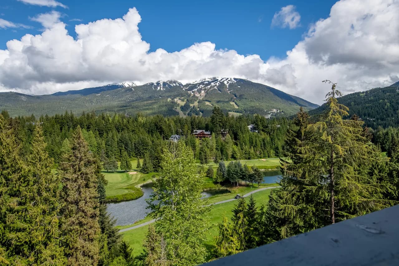 Heron Views 24